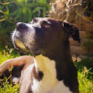 Meet your Posher, Dana